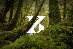 Scottish fragrance house Kingdom Scotland with their K logo within a dense Caledonian forest